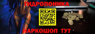 прущие грибы Будённовск