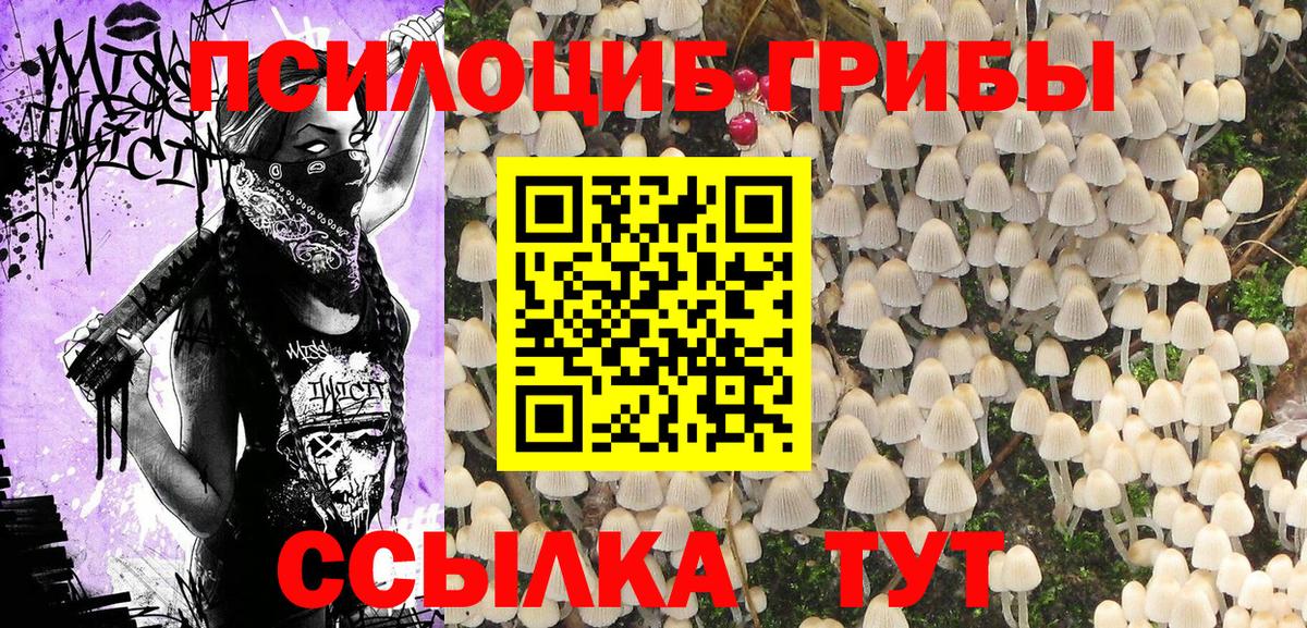 Псилоцибиновые грибы мицелий Мурино